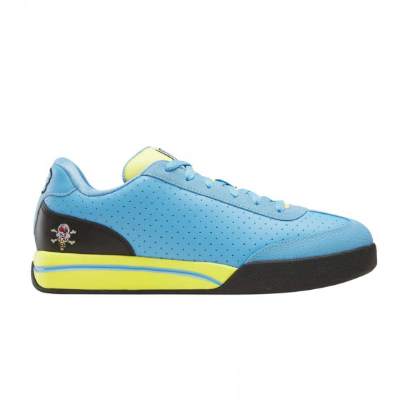 Reebok Boardflip 'Pale Cerulean' | Blue | Men's Size 11.5 - 100282065