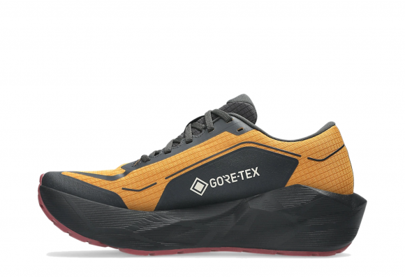Asics NOVABLAST 6 GORE - 1011C256-800