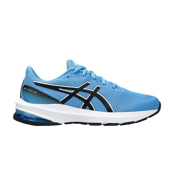 Asics GT 1000 12 GS 'Waterscape Black' | Blue | Kid's Size 3.5 - 1014A296-404