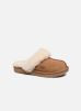 Cozy II K par UGG - 1019065/CHE