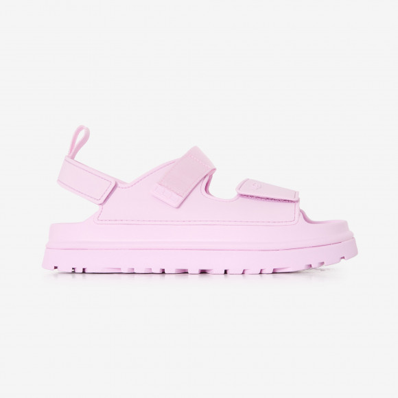 Golden Glow  Rose - 1152813K-PKD