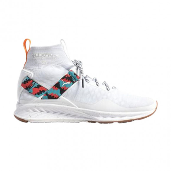 Commonwealth x Puma Ignite evoKNIT | White | Men's Size 5 - 190355-01