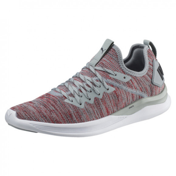 PUMA IGNITE Flash evoKNIT Men's Training Shoes in Quarry Grey - 190508_08