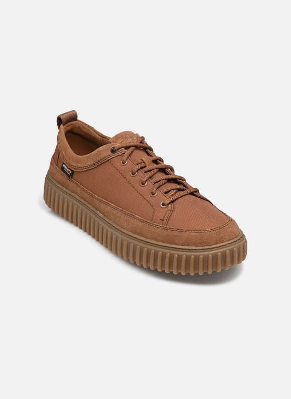 Baskets Clarks Torhill Lace pour - 26329461