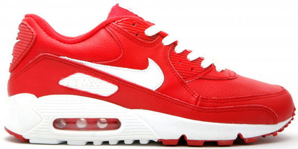 Nike Air Max 90 Leather Valentine's Day 2003 (W) - 302584-611