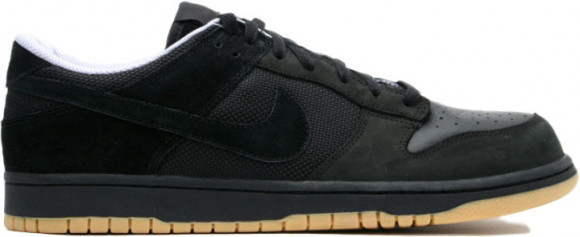 Nike Dunk Low Anthracite Astro - 304714-009