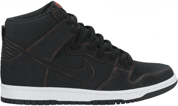 Nike Dunk SB High Thermal Stitch - 305050-012