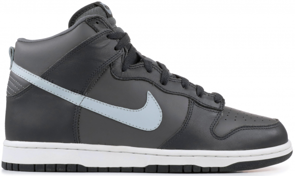 Nike Dunk High Light Graphite Cloud - 305287-002