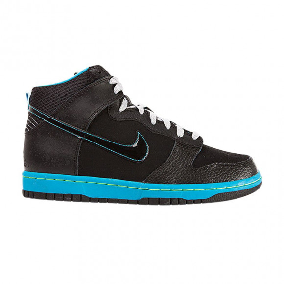Nike Dunk High GS | Black | Kid's Size 6.5 - 308319-044