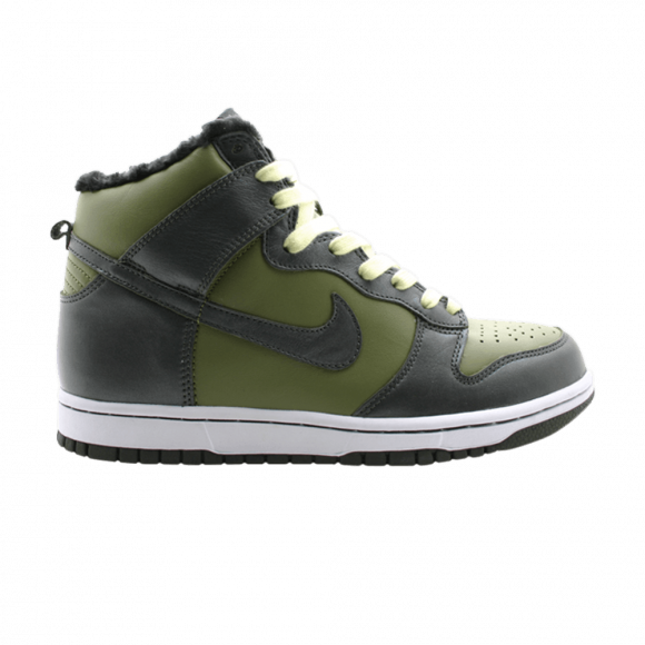 Nike Wmns Dunk Hi - 309437-331