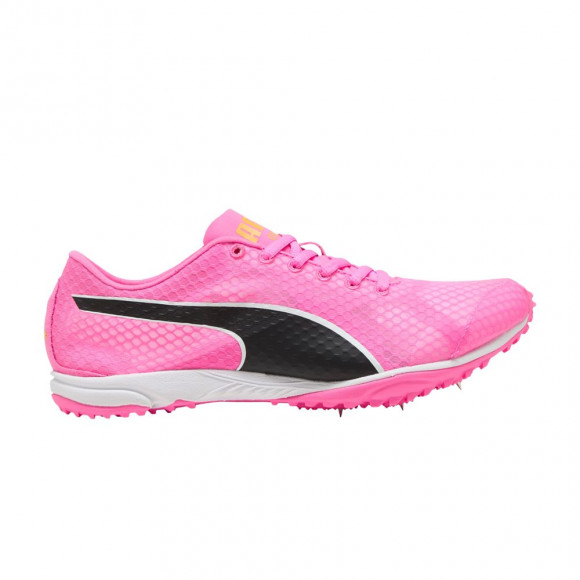 Puma Evospeed Haraka 8 'Poison Pink' | Men's Size 8 - 313591-02