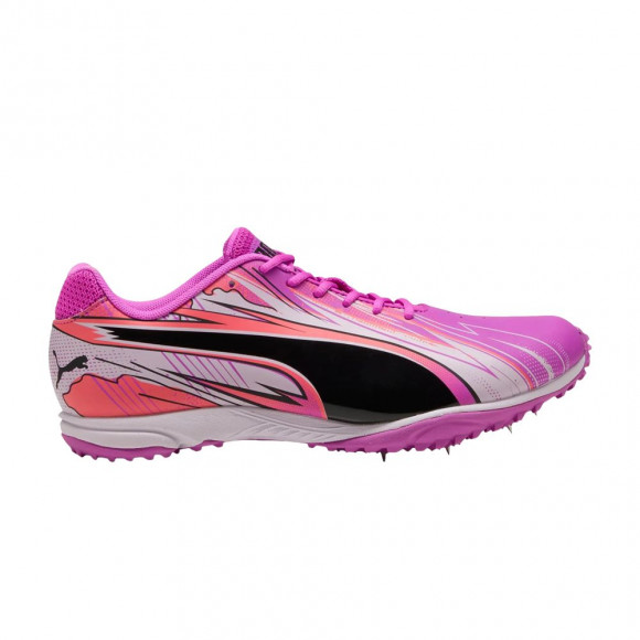 Puma Evospeed Haraka Sparked 'Purple Multi' | Men's Size 8.5 - 313592-02