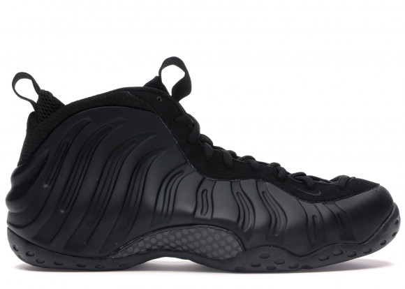 Nike Air Foamposite One Anthracite (2007) - 314996-001