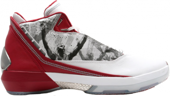 Air Jordan Nike AJ XXII 22 OG Omega - 315299-162