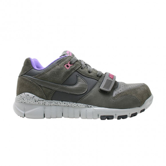Nike Trainer Dunk Low | Black | Men's Size 11 - 316590-001