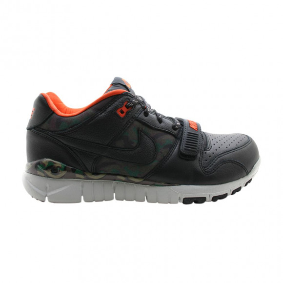 Nike Trainer Dunk Low | Black | Men's Size 10.5 - 316590-005