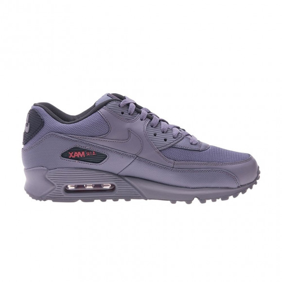 Nike Air Max 90 | Grey | Men's Size 11 - 325018-090