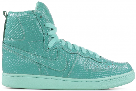 Nike Terminator Hi Swagger - 365487-232