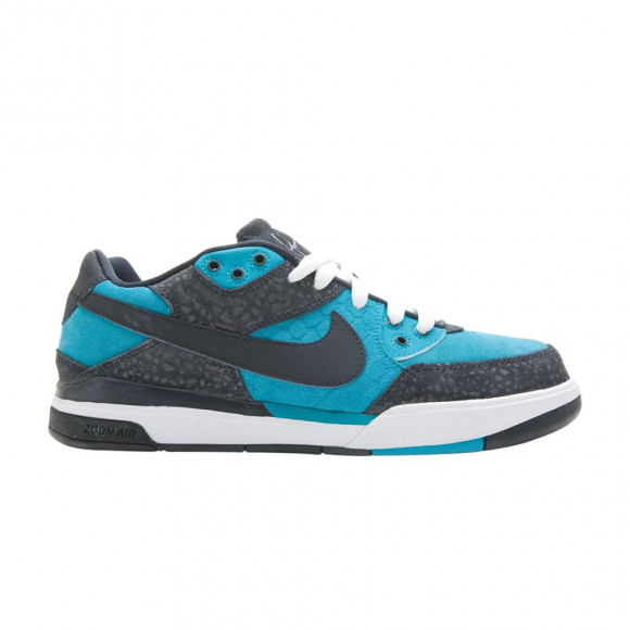 Nike Zoom Paul Rodriguez 3 | Blue | Men's Size 11 - 366620-341