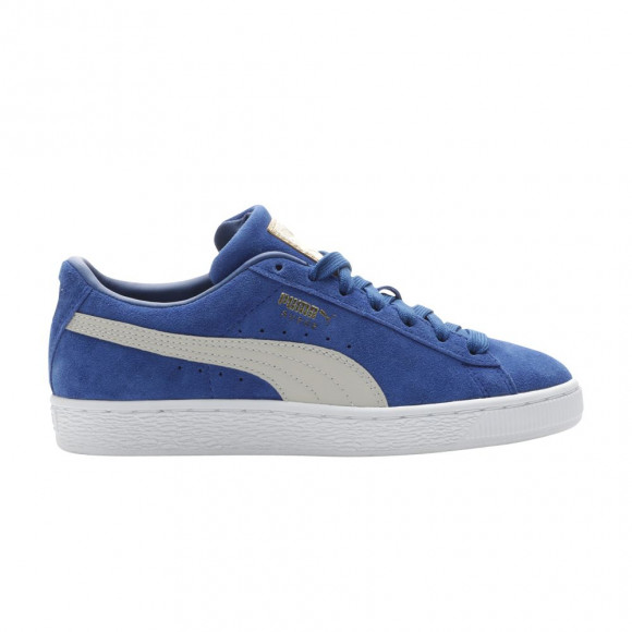 Puma Suede 'Surf The Web' | Blue | Men's Size 5 - 388161-02
