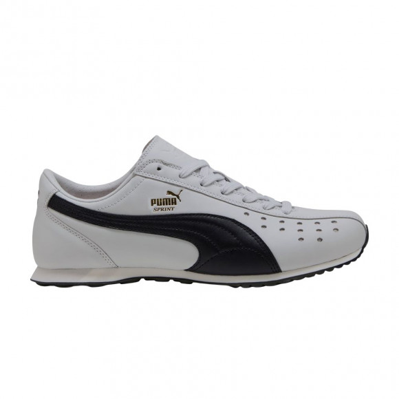 Puma Sprint 'Glacial Gray' | Grey | Men's Size 9.5 - 402960-11