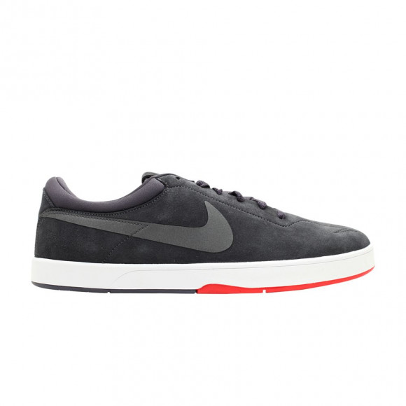 Nike Sb Eric Koston | Grey | Men's Size 9 - 442476-002
