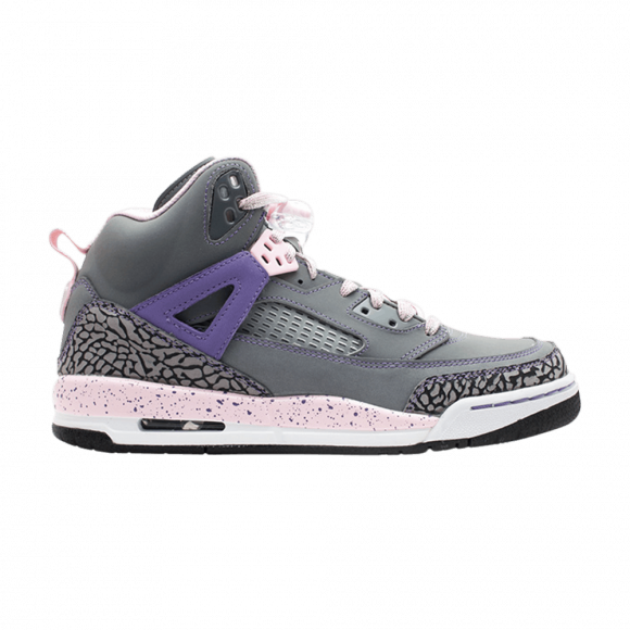Air Jordan Jordan Spiz'Ike GS 'Purple Earth' - 535712-028