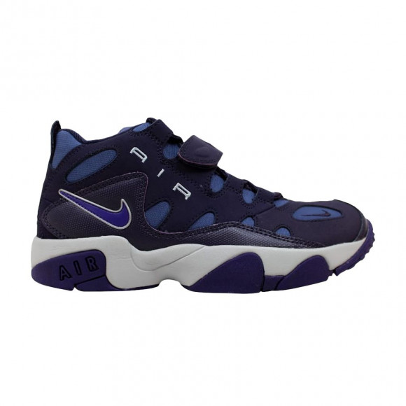Air Turf Raider GS 'Purple Dynasty' - 599812-500