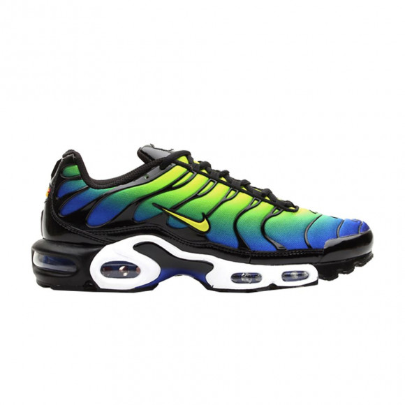 Nike Air Max Plus TN | Blue | Men's Size 13 - 604133-430