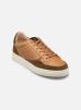adidas adizero afterburner 8 low mens metal cleats shoes black orange silver - 628553-751