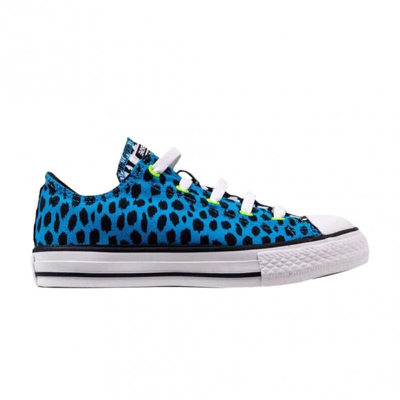 Converse Chuck Taylor All Star Low GS 'Blue Leopard' | Kid's Size 4.5 - 640563C