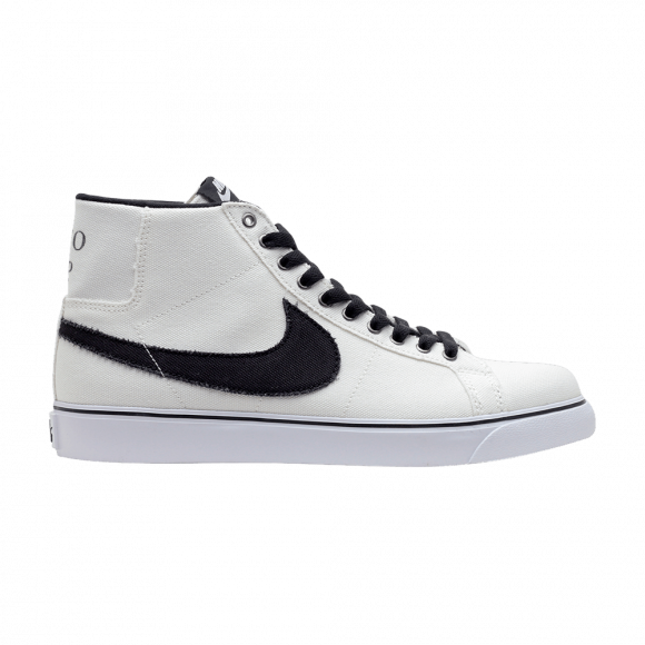 Nike Zoom Blazer Sb Canvas 'Two Up' - 647565-107