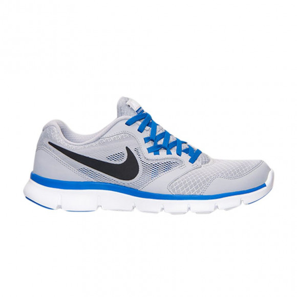 Nike Flex Experience Run 3 | Grey | Men's Size 10.5 - 652846-006
