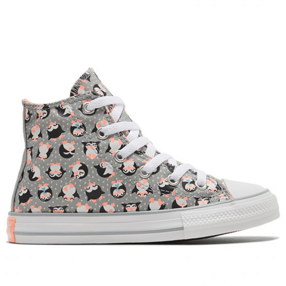 all star canvas shoes