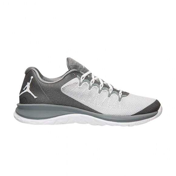 Air Jordan Flight Runner 2 'Cool Grey' | Men's Size 12 - 715572-003