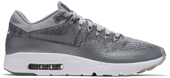 Nike Air Max 1 Ultra Wolf Grey - 843384-001