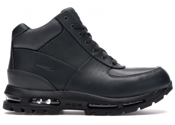 Nike Air Max Goadome Anthracite - 865031-018