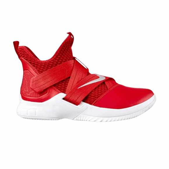 lebron soldier 12 tb