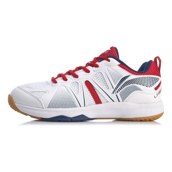 LiNing Badminton Competition Outdoor Tennis Shoes - AYTQ035-2