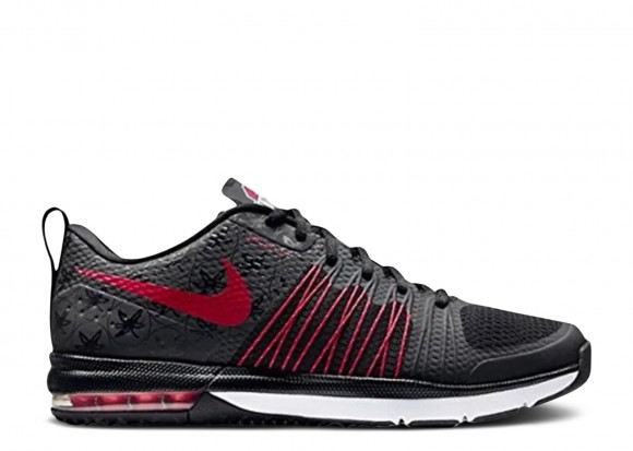 Nike Air Max Effort TR AMP 'Ohio State' | Black | Men's - Air-Max-Effort