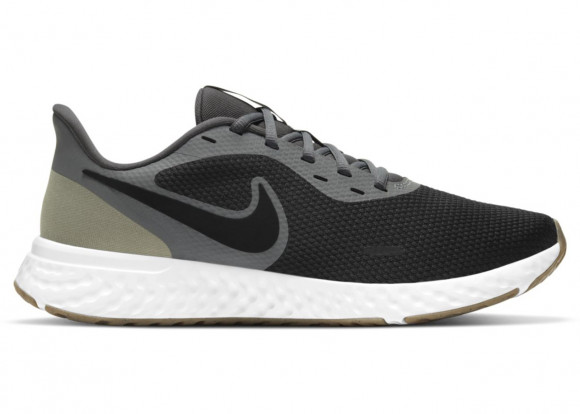 Nike Revolution 5 Iron Grey - BQ3204-016