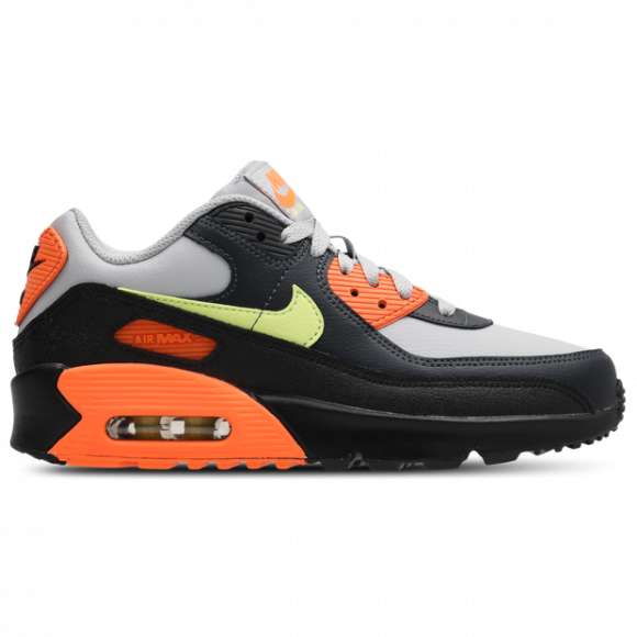 Nike Air Max 90 LTR Kinderschoenen - Grijs - CD6864-033