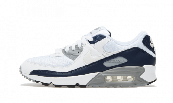 Nike Air Max 90 LTR (GS) - CD6864-105