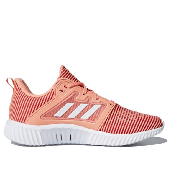 Adidas Climacool Vent Marathon Running Shoes/Sneakers CG3922 - CG3922