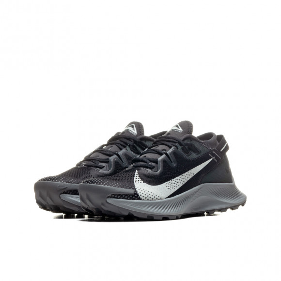 Nike Pegasus Trail 2 Arazi Tipi Kadın Koşu Ayakkabısı - CK4309-002