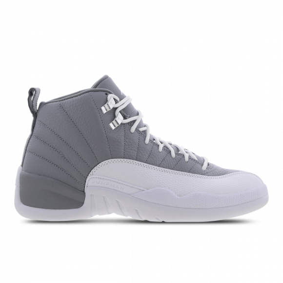 Air Jordan 12 Retro-sko til mænd - grå - CT8013-015