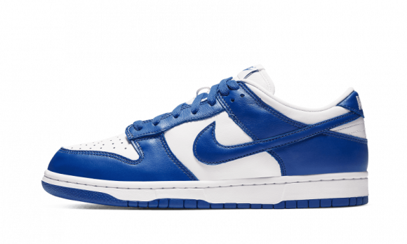 nike dunk low sp 2020