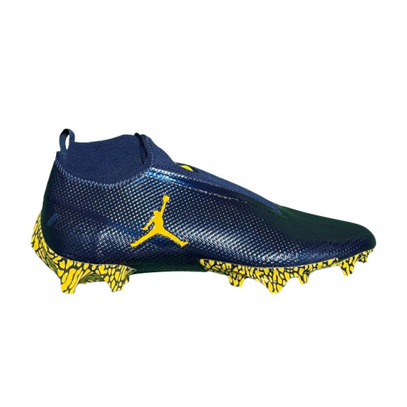 Air Jordan Vapor Edge Pro 360 SMU Wide 'Michigan Wolverines' PE | Blue | Men's Size 11 - CV6279-400
