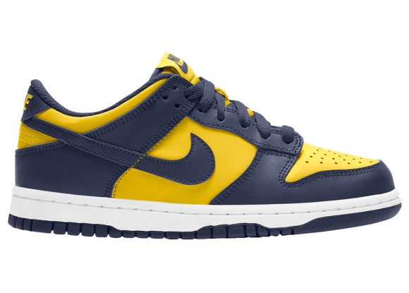 Nike Dunk Low Michigan 2021 (PS) - CW1588-700