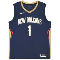 pelicans rainbow jersey